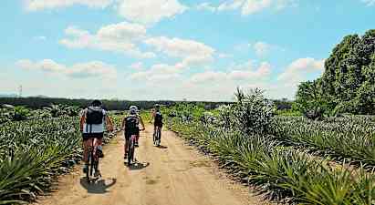 Tre personer cykler på en grusvej gennem et tropisk landskab. (AI-genereret tekst)