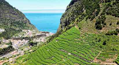 Terrasserede vinmarker på en skråning med en kystby og havet i baggrunden. (AI-genereret tekst)