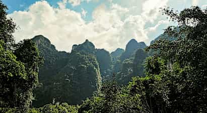 Khao Sok - midt i regnskoven