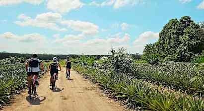 Det nordlige Phuket på cykel