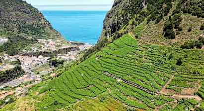 Jeepsafari Wine & Skywalk - det nordlige Madeira