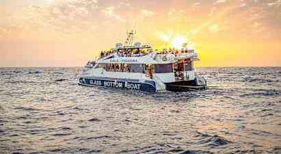 Solopgang og delfiner