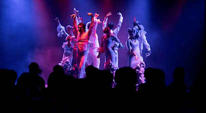 The Olé Flamenco Show - Platinpakke