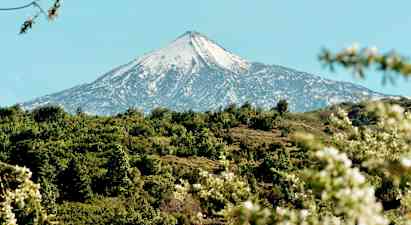 Teide