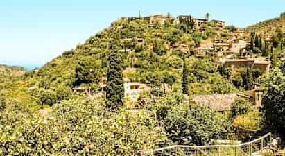 Mallorca - kontrasternes ø til kampagnepris!