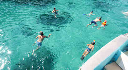 Cruise Cormoran Paradise