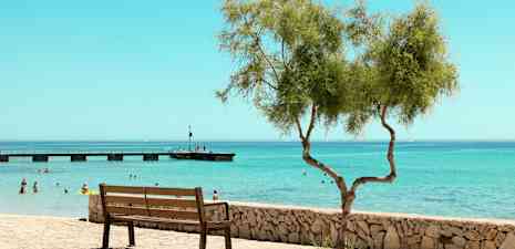 En parkbænk ved en stenmur med et ensomt træ i forgrunden, og folk bader i havet med en bro i baggrunden. (AI-genereret tekst)