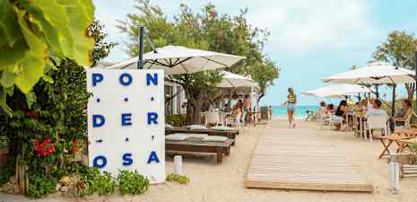 En restaurant ved stranden med borde og parasoller, en træsti fører mod vandet. (AI-genereret tekst)