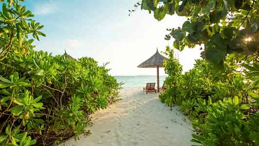 En sandsti leder gennem grøn vegetation til to liggestole under et stråtag på en strand med udsigt til havet. (AI-genereret tekst)