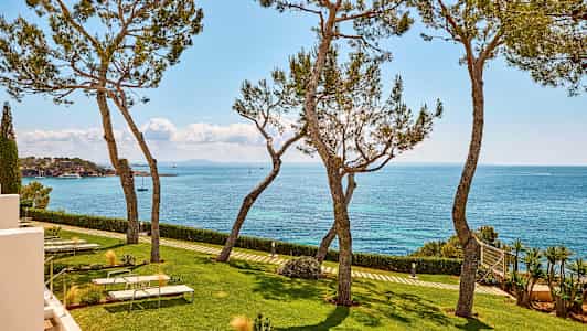 Udsigt over havet med træer, græsplæne og solsenge i forgrunden. (AI-genereret tekst)