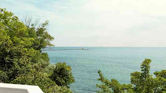 Udsigt over havet med grønne træer i forgrunden og en mole, der strækker sig ud i vandet. (AI-genereret tekst)