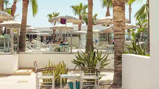 Liggestole og parasoller ved et poolområde omgivet af palmer. (AI-genereret tekst)