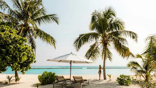 Strand med liggestole, parasol, palmer og turkisblåt hav. (AI-genereret tekst)