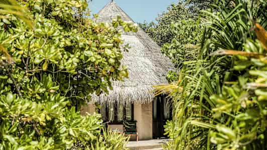 En bungalow med stråtag omgivet af tropiske planter. (AI-genereret tekst)