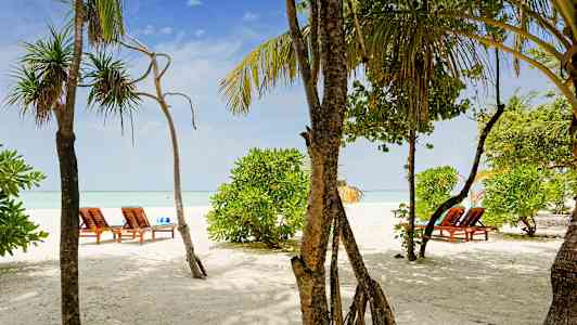 En sandstrand med liggestole og grønne træer. (AI-genereret tekst)