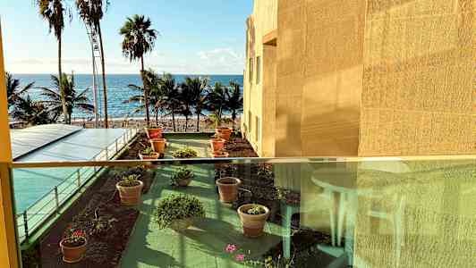 Udsigt til en terrasse med blomsterkrukker, med palmer og havet i baggrunden. (AI-genereret tekst)