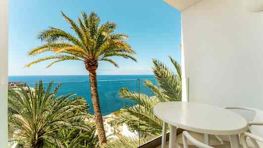 Udsigt fra en balkon med palmer og havet i baggrunden. (AI-genereret tekst)