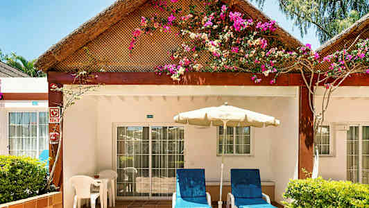 En terrasse ved en bungalow med blomster på taget. (AI-genereret tekst)