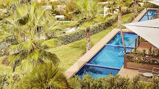 Billede af en pool omgivet af grønne omgivelser og palmer. (AI-genereret tekst)