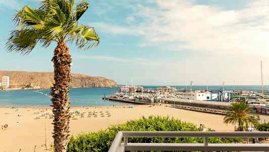 En strand med liggestole og parasoller, en havn med både og en palme i forgrunden. (AI-genereret tekst)