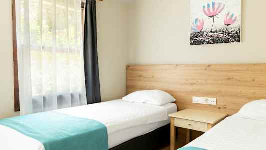 Billede af et værelse med to enkeltsenge, et natbord og et maleri på væggen. (AI-genereret tekst)