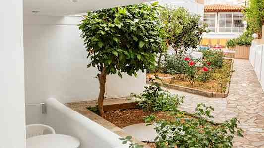 En lille have med grønne planter, blomster og stenlagt gangsti ved hvide bygninger. (AI-genereret tekst)