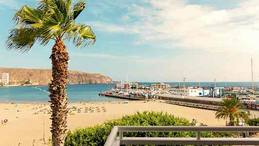 En strand med liggestole og parasoller, en havn med både og en palme i forgrunden. (AI-genereret tekst)