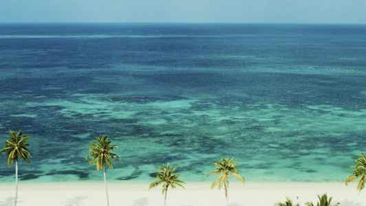 Hvid sandstrand med palmer og klare bølger i det turkisblå hav. (AI-genereret tekst)