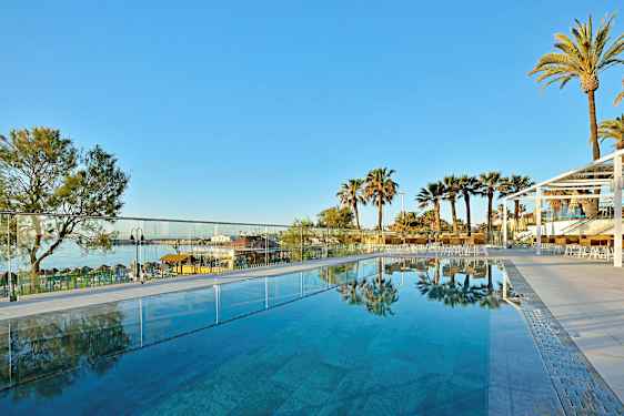 Udendørs pool med udsigt over palmer og en klar blå himmel. (AI-genereret tekst)