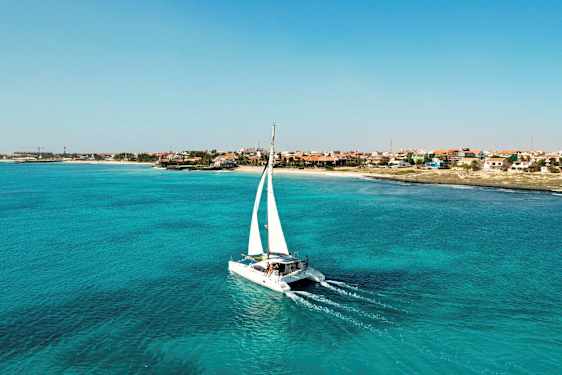 En katamaran med hvide sejl sejler over turkis vand nær en kyst med huse i forskellige farver. (AI-genereret tekst)