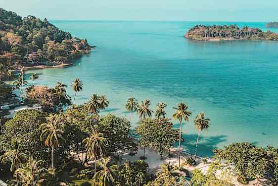 Strand med palmer, klart blåt hav og en lille ø i baggrunden. (AI-genereret tekst)