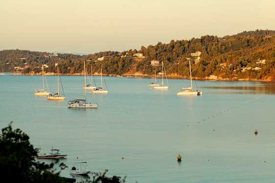 Flere sejlbåde i en bugt med skovklædte bakker og huse i baggrunden. (AI-genereret tekst)