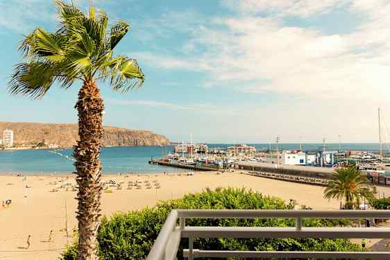 En strand med liggestole og parasoller, en havn med både og en palme i forgrunden. (AI-genereret tekst)