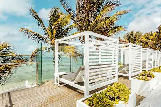 Udsigt over en terrasse med hvide liggestole og palmer ved vandet. (AI-genereret tekst)