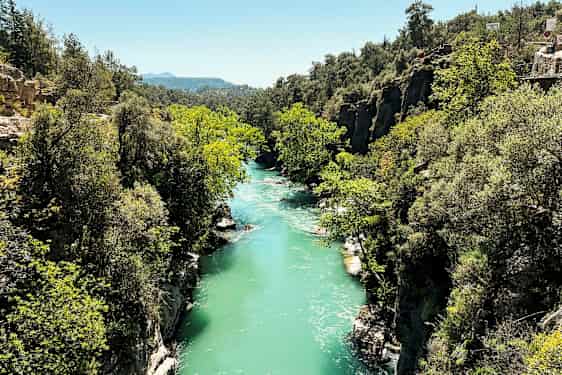 En turkisblå flod, der løber gennem en frodig slugt med klipper og træer. (AI-genereret tekst)