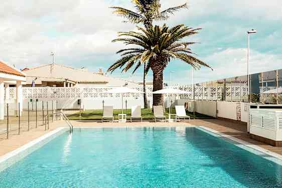 Udendørs pool med liggestole og parasoller samt en palme i baggrunden. (AI-genereret tekst)