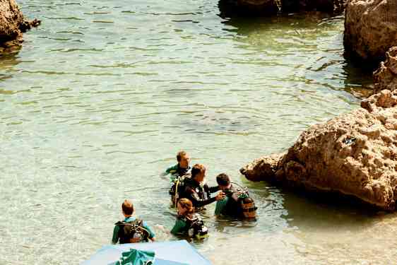 Gruppe af personer i våddragter og dykkerudstyr står i klart vand ved klipper. (AI-genereret tekst)