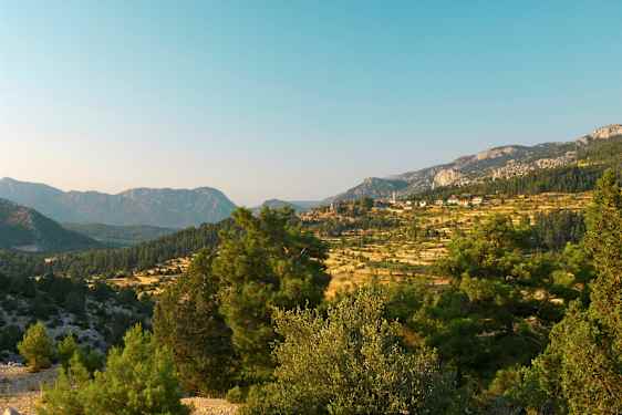 Et landskab med bjerge og træer i forgrunden. (AI-genereret tekst)