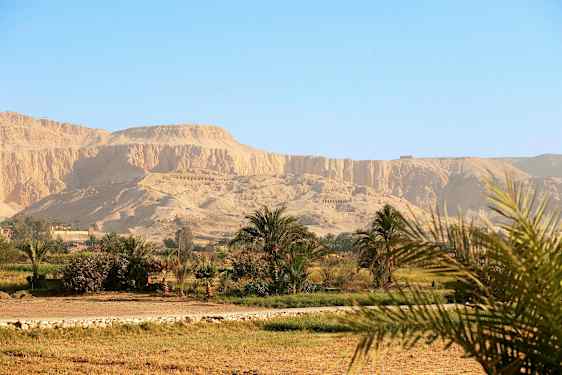 Ørkenlandskab med bjerge i baggrunden og vegetation i forgrunden. (AI-genereret tekst)