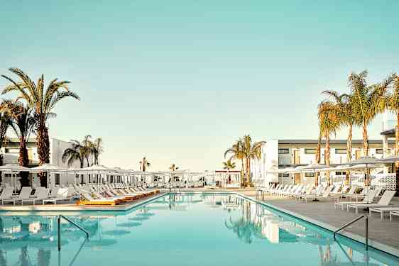 En swimmingpool omgivet af solsenge og palmer ved et hotel. (AI-genereret tekst)