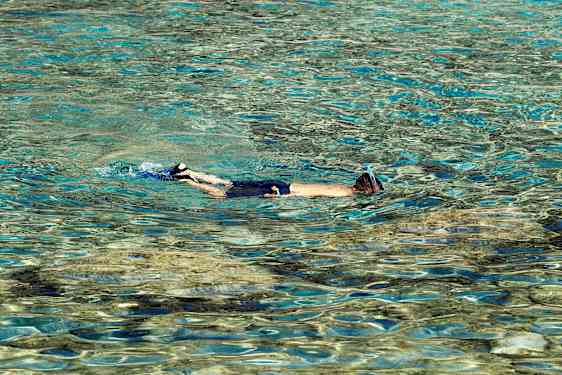 Person med snorkel svømmer i klart vand. (AI-genereret tekst)