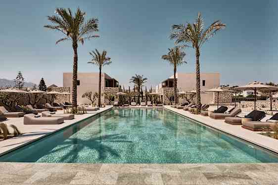 En rektangulær udendørs swimmingpool omgivet af liggestole og parasoller, med palmer og bygninger i baggrunden. (AI-genereret tekst)