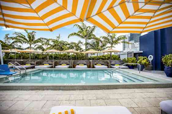 Et poolområde med liggestole, parasoller og palmer i baggrunden. (AI-genereret tekst)