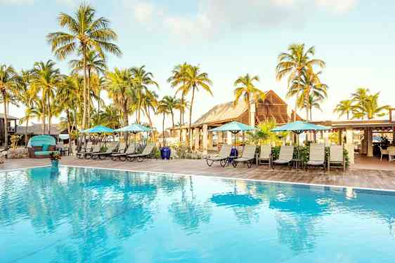 Poolområde med liggestole, parasoller og palmer i baggrunden. (AI-genereret tekst)