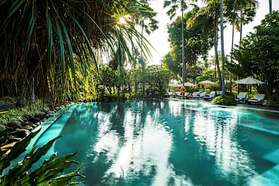 En udendørs pool omgivet af tropiske planter og palmer ved solnedgang. (AI-genereret tekst)