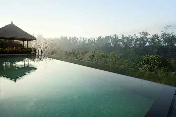 En infinitypool med klart vand og udsigt over frodig tropisk vegetation og palmer. (AI-genereret tekst)