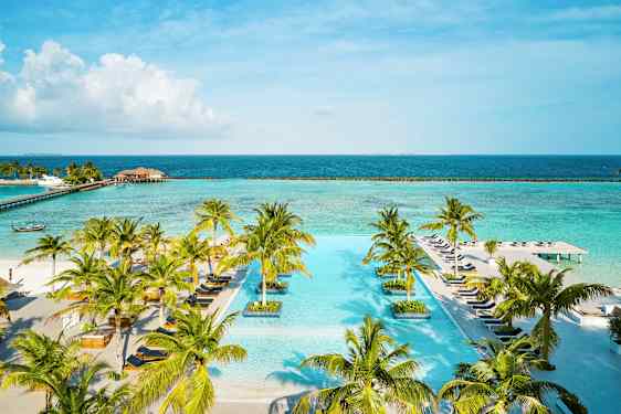 En infinity pool omgivet af palmer med havet i baggrunden. (AI-genereret tekst)