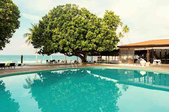 En pool ved siden af et stort træ med havet i baggrunden samt en bygning. (AI-genereret tekst)