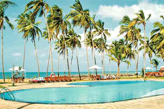 Billede af en pool omgivet af palmer med udsigt til havet i baggrunden. (AI-genereret tekst)