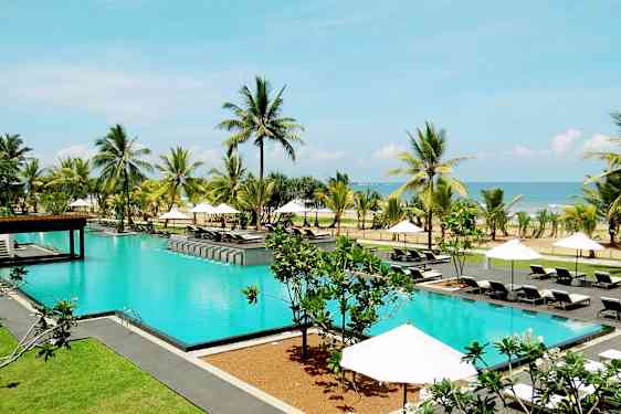 En udendørs pool omgivet af solsenge, parasoller, palmer og med udsigt over havet. (AI-genereret tekst)